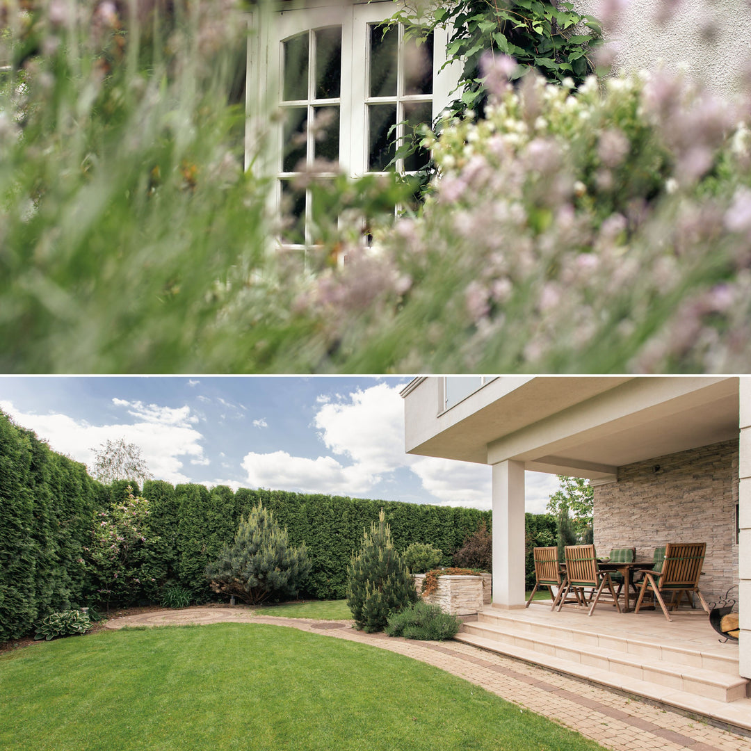 Moderner Garten & Cottage Garten im Stil und Design Vergleich