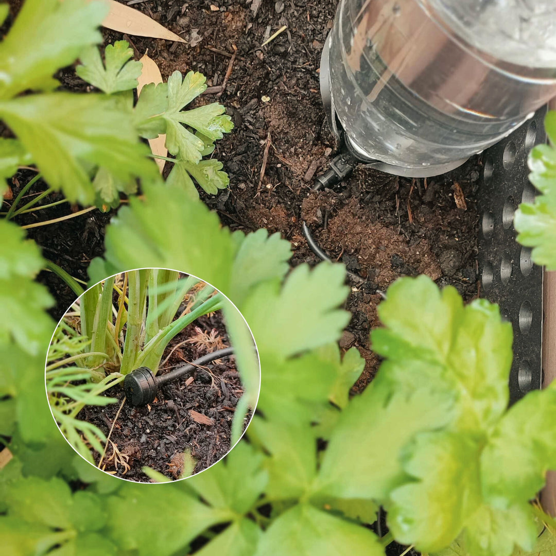 Tropfbewässerung - die clevere Lösung für gesunde Pflanzen
