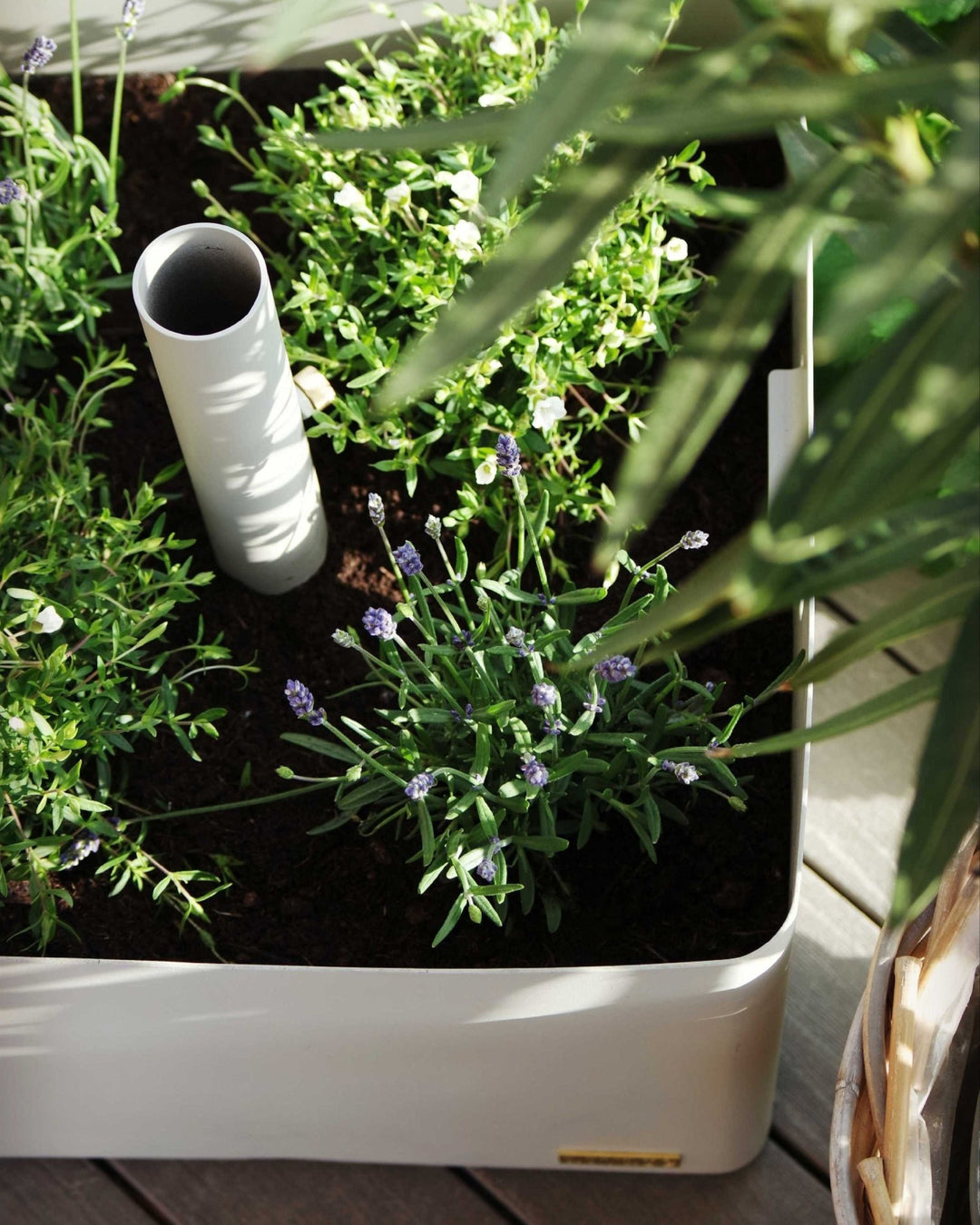 LIVLIG 3-Schritte-Guide zum Bepflanzen unseres Sonnenschirmständers