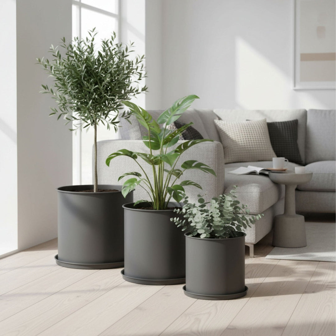 Dreier Blumentopfset mit Untersetzern von LIVLIG, in abgestufter Größe, in einem hellen Raum neben einem Sofa arrangiert.