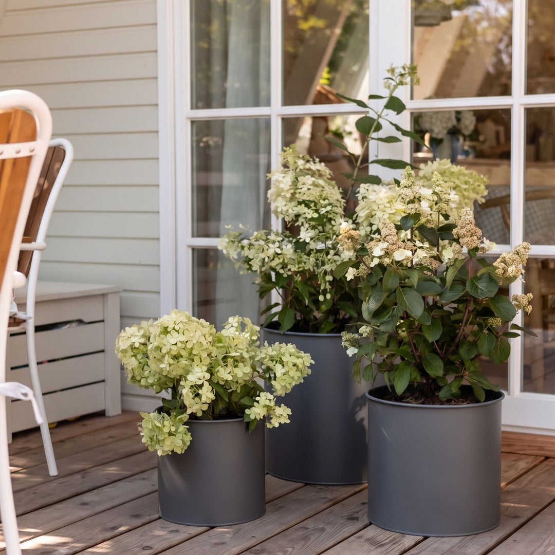 Drei graue Metallblumentöpfe von LIVLIG, zylindrisch, matt, mit weißen Hortensien, auf Holzterrasse im Lifestyle-Blick