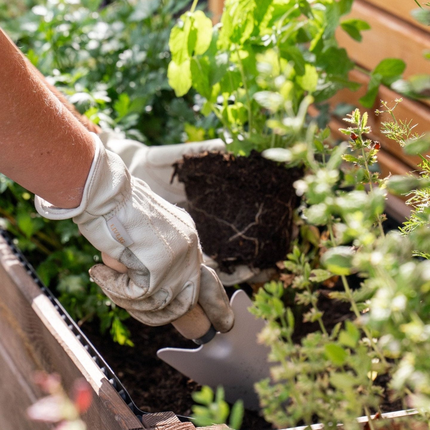 Gartenhandschuhe für Frauen – Schutz & Komfort