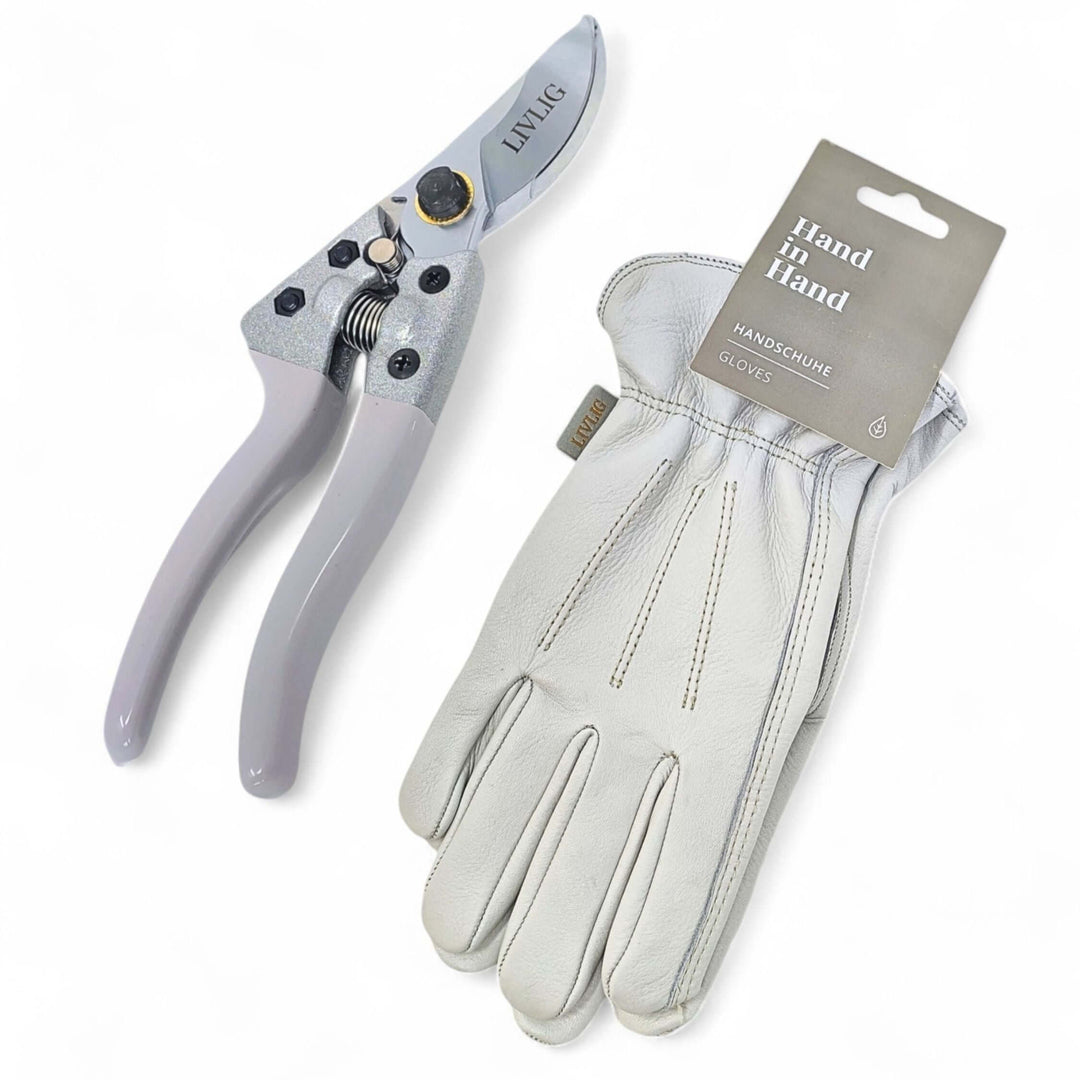 Gartenstarter-Set - XS/S und M/L, weiße Handschuhe und Graue Gartenschere 