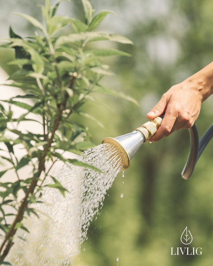 a person is watering a tree with a hose