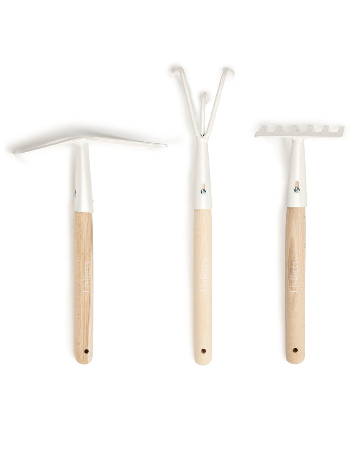 three toothbrushes and a toothbrush holder on a white background