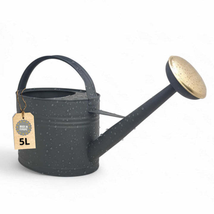 LIVLIG, Metall Gießkanne 5L, Gießkanne, Anthrazit