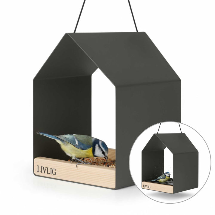 LIVLIG, 2in1 Vogelhaus / Vogeltränke, Vogelhaus, Anthrazit