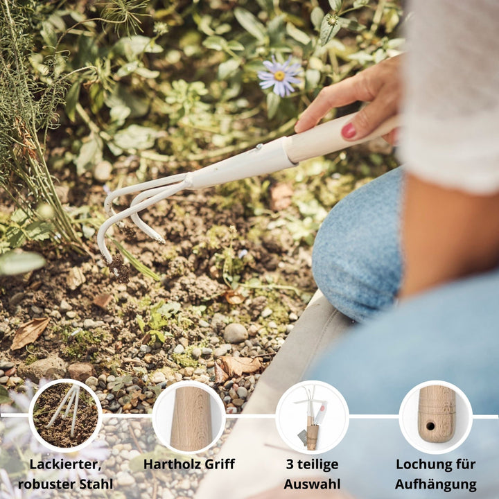 Gartenwerkzeug Set von LIVLIG, mit lackiertem, robustem Stahl und Hartholz Griff, 3 teilige Auswahl und Lochung für Aufhängung.