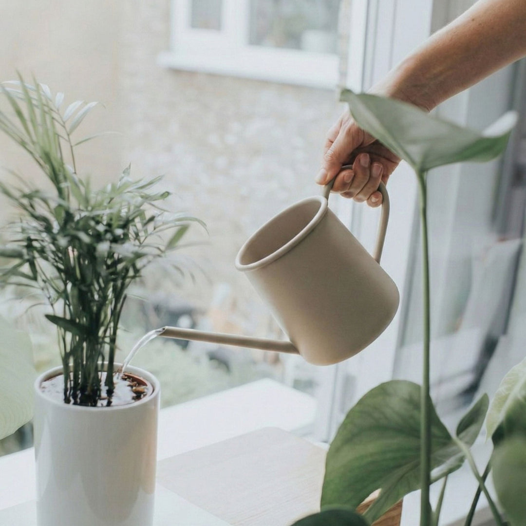 Metallgießkanne 1L von LIVLIG, beige, mit langem Auslauf, in der Hand gehalten über einer Zimmerpflanze.