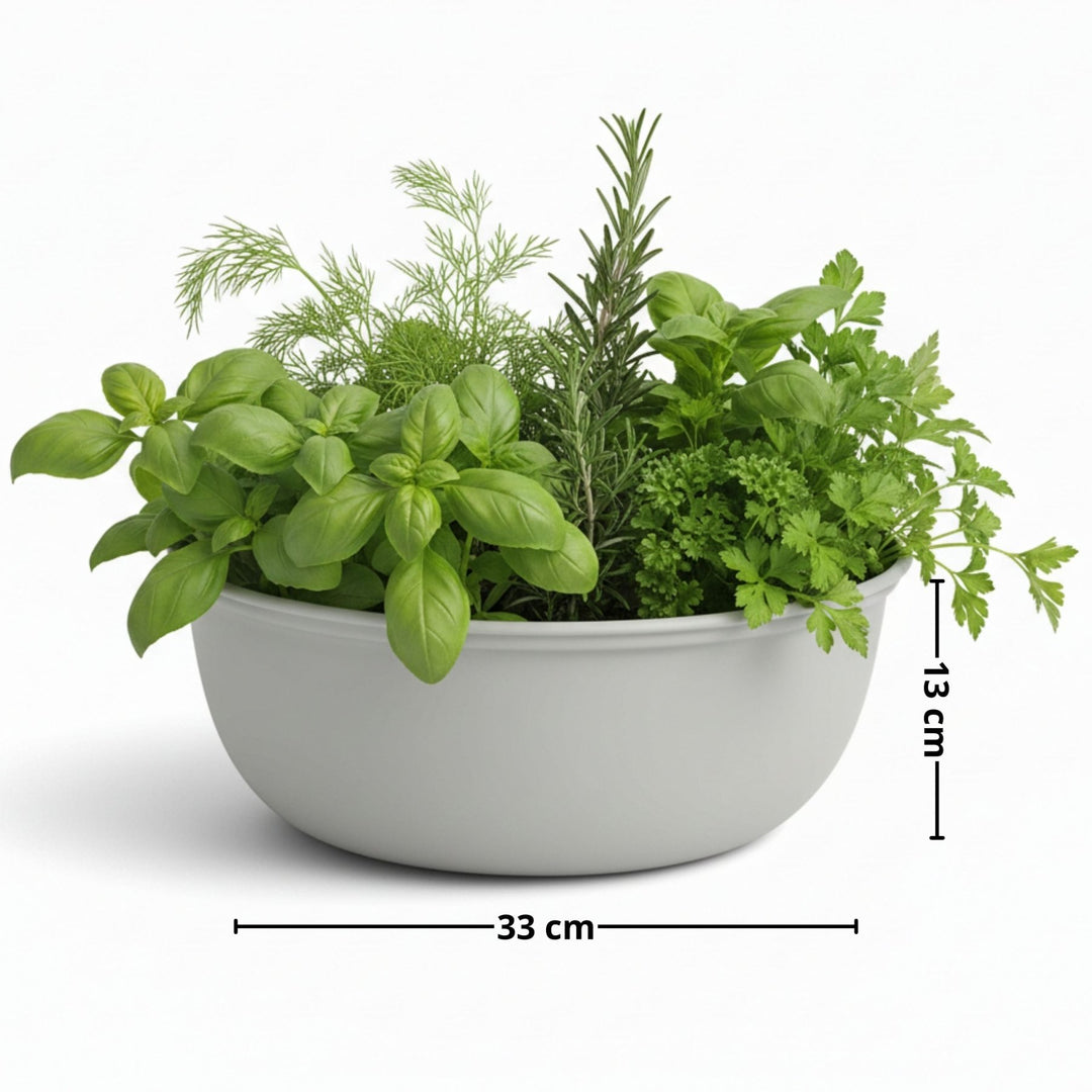 Graue Pflanzschale / Waschschüssel von LIVLIG mit Basilikum, Dill, Rosmarin und Petersilie bepflanzt, mit Maßangaben.