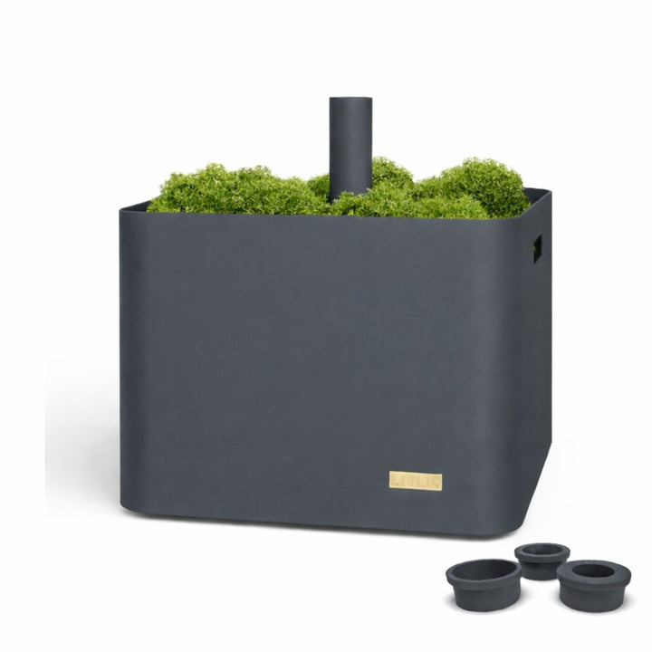 Titelbild vom Sonnenschirmständer in Anthrazit, bepflanzt mit Grün, 3 Reduzierringe in versch. Größen auf weißem Hintergrundbild