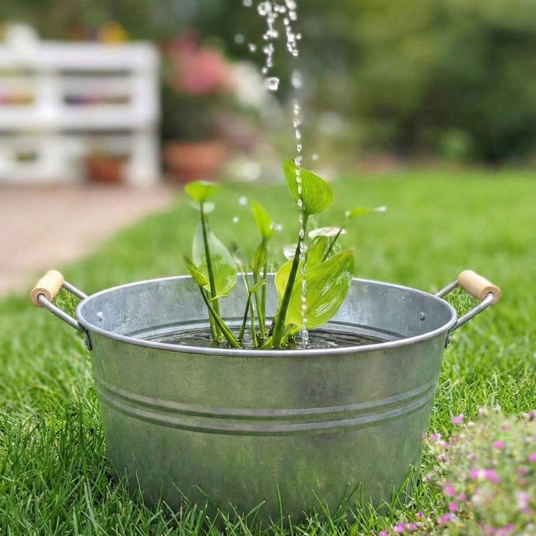 Zinkwanne 30L von LIVLIG mit Wasser und Pflanzen, im Garten auf Rasen platziert.
