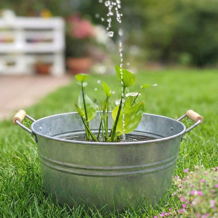 Zinkwanne 30L von LIVLIG mit Wasser und Pflanzen, im Garten auf Rasen platziert.
