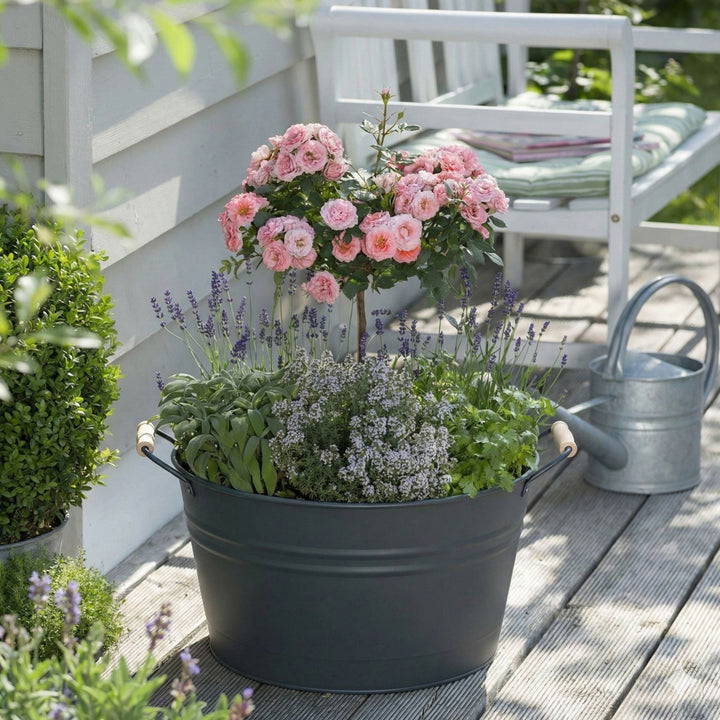 Graue Zinkwanne 30L von LIVLIG, mit Kräutern und Rosen bepflanzt, vor einer weißen Holzbank mit Kissen.
